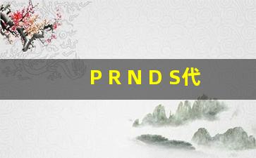 P R N D S代表什么档位图片,电动汽车档位R N D S